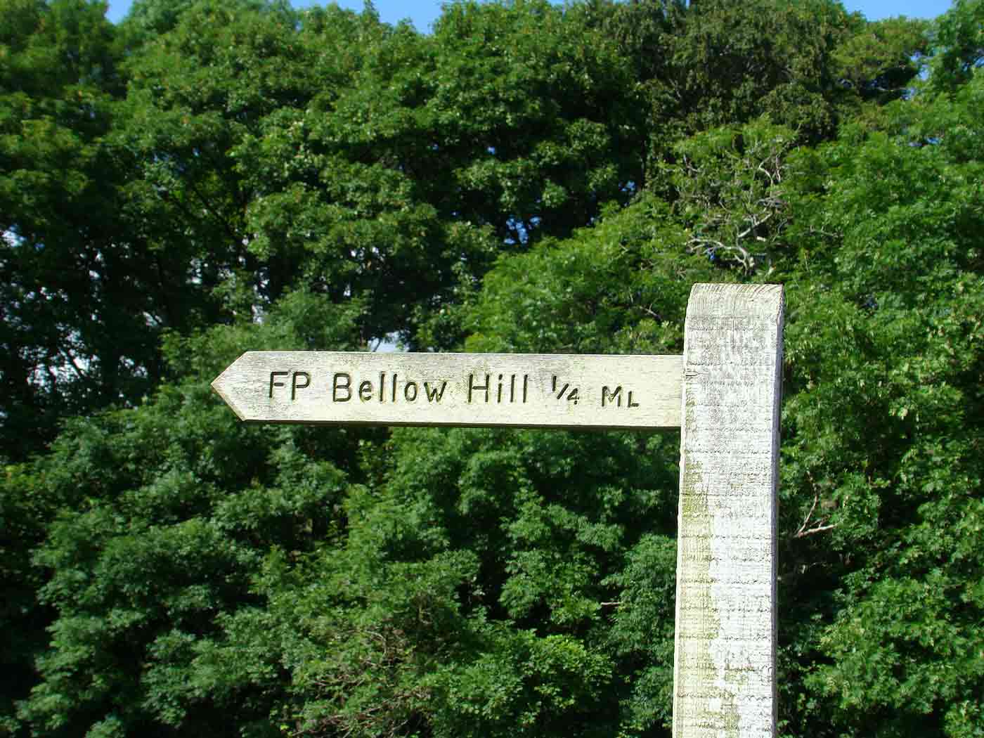 Bellow Hill