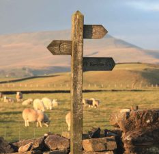 finger-post1