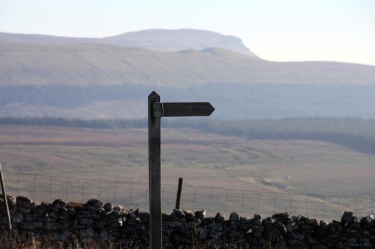 finger-post4