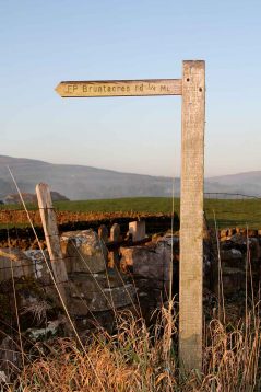 finger-post6