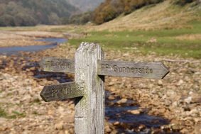 finger-post7