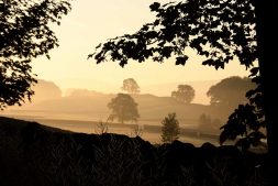 mist21