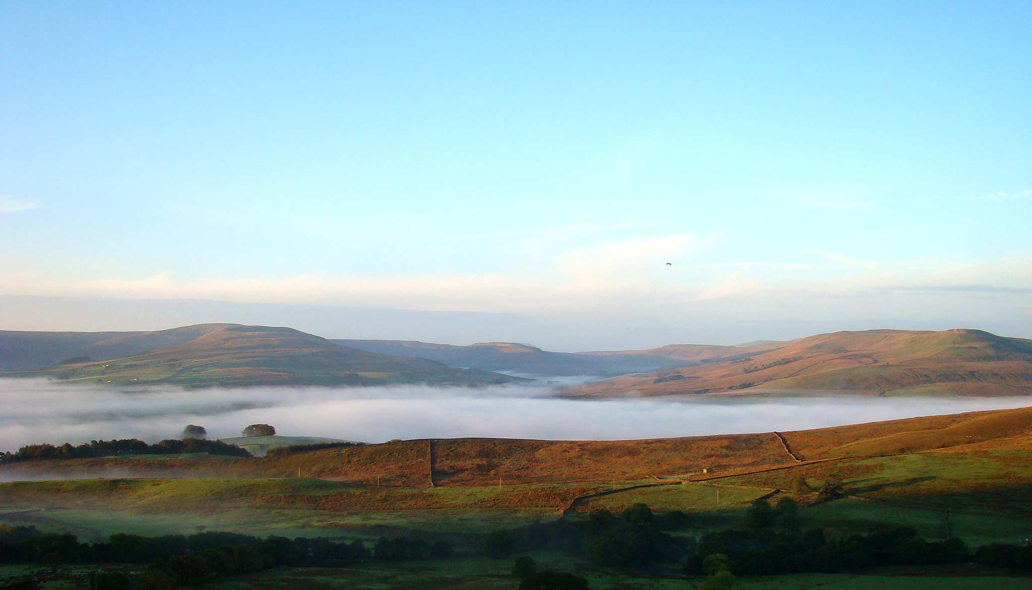 Wensleydale Mist #2