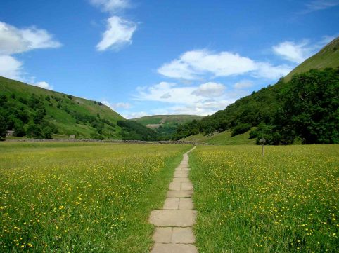 muker-meadows
