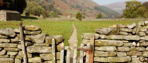 muker-meadows-gate#1