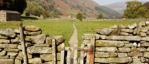 muker-meadows-gate#1