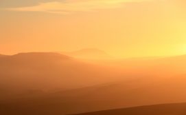 sun-set#14