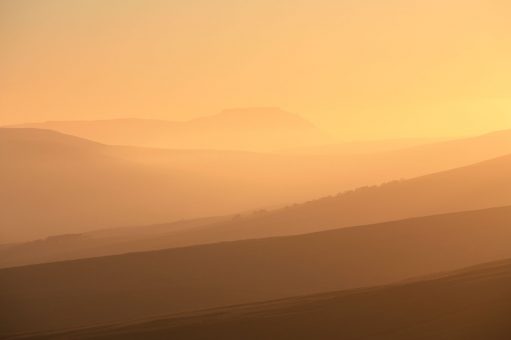 sun-set#4