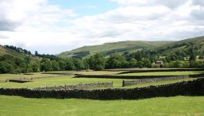 swaledale-field