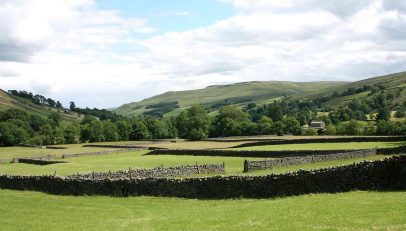swaledale-field